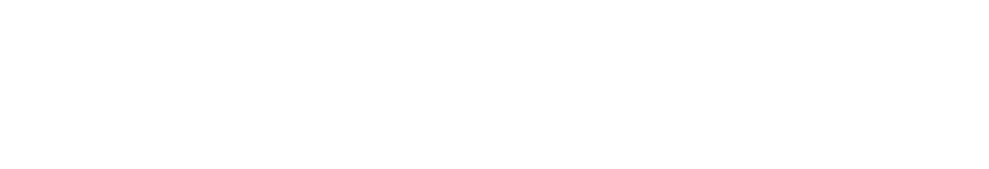 SoftGlide LLC white logo